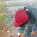 석교농장 이미지