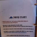 속초해수욕장 근처 요리주점 속초거북이 내돈내산 (260309)