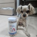 pet174너8354 | 강아지간식, 굿포펫 프리미엄 동결건조간식 연어맛, 가벼워서 들고다니기 더 좋다