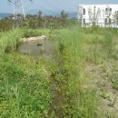 한국복합물류(주) 군포터미널 관리동 이미지