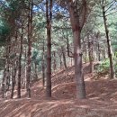 창3동 공립 작은도서관 이미지