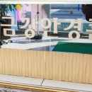 금송안경콘택트 네이버블로그