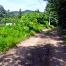 대문리마을회관 이미지