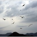 해금강여관 이미지