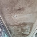 우남송추아파트 | 송추우남아파트 바이오세라믹 탄성후기##