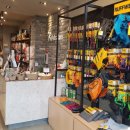 펫츠런 애견 이미지