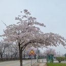 두릉3리마을회관 이미지