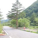 부연펜션 | 강릉 계곡펜션 부연동 스카이케빈 캠핑 단체펜션