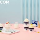 설악젤라또 이미지