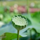 지리산호수공원 이미지
