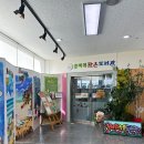 꽃바위작은도서관 이미지