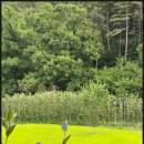 산뜨락힐링펜션 이미지