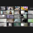 핸드라이프