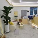 그루댕댕 이미지