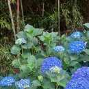 스위티모텔 이미지