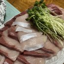 터미널수제만두꼬마김밥 네이버블로그