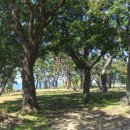 경주한옥마을 이미지