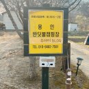 보개원삼로L | 용인 반딧불캠핑장 l 경기도 벚꽃 캠핑장에서 즐기는 벚꽃캠