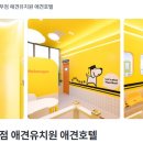 강아지를 부탁해(돌봄) 이미지