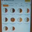 카페엠엠티 이미지