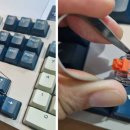 위즈피시방 이미지