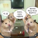 도깨비시장길 (상생한의원) | 1:) 1월 일상기록