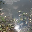 서지제 뉴스1