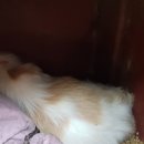 말래펜션 이미지