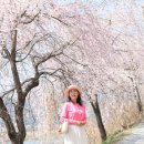 연지못 Daum카페