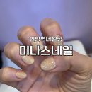 미나스네일 이미지