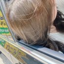 광주 서구 쌍촌동│상무지구미용실 &#39;탑헤어&#39; 웜톤염색 후기