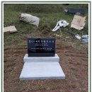 보성 묘지관리 이것만 알면 더 이상 고민하지 않아요
