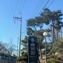 솔잎향 | 경기도 캠핑장 솔잎향캠핑파크 2박 후기 - 쿠디 오로라 두번째 피칭과 생일파티