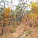 천상고등학교 이미지