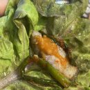 역북-40 | 용인고깃집 명륜진사갈비 용인역북점, 불향 가득 숯불갈비집 후기