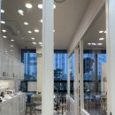 저스틴 멍멍 이미지