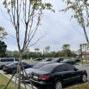 당정근린공원-추가 이미지