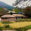 감나무골 이미지