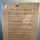 월정플레이스 | [제주] 제주 동쪽 감성숙소, 월정플레이스