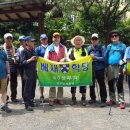 2016년 8월 9일(화) 매화회 대모산 산행과 가락수산시장 회식 이미지