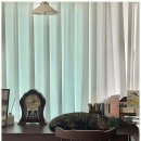 데이베이크 이미지