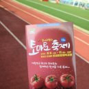 수박&토마토 축제 이미지