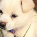 장훈농장 이미지