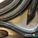 웰빙수산물 이미지