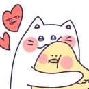월넛투 이미지
