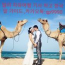 카멜