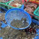 혜미수산