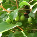 다래펜션 이미지