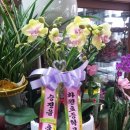 회진명덕초등학교 이미지