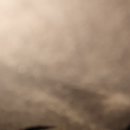 배곧엠플러스정비센터 이미지